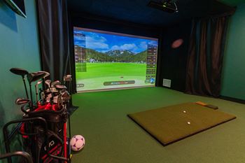 Golf & game simulator